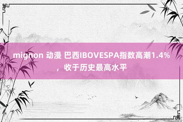 mignon 动漫 巴西IBOVESPA指数高潮1.4%，收于历史最高水平