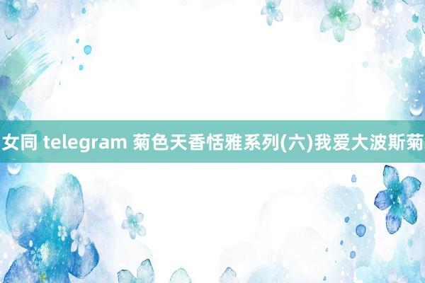 女同 telegram 菊色天香恬雅系列(六)我爱大波斯菊