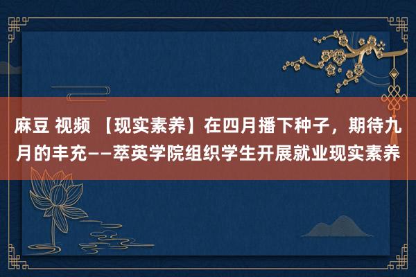 麻豆 视频 【现实素养】在四月播下种子，期待九月的丰充——萃英学院组织学生开展就业现实素养